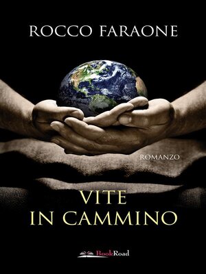 cover image of Vite in cammino
